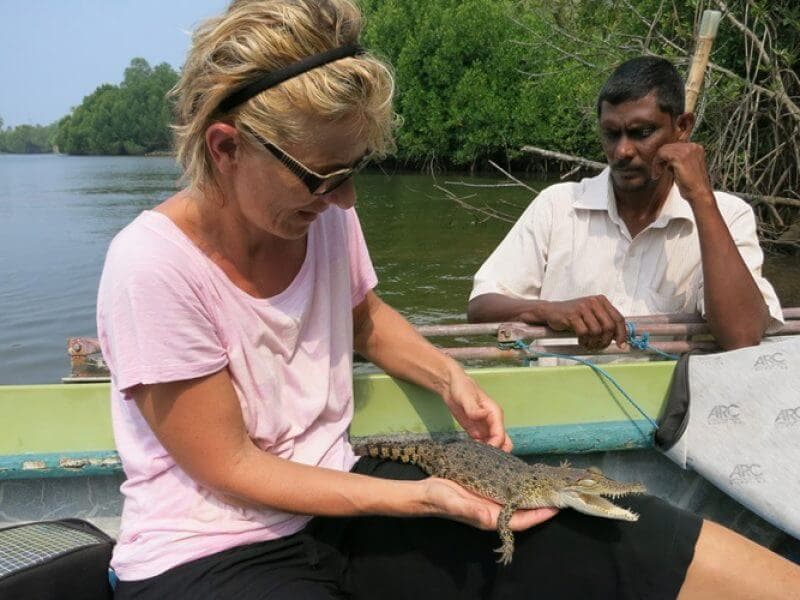 Una foto de un pequeño cocodrilo encontrado y contemplarlo en el río Bentota