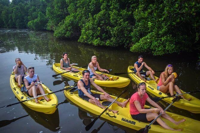 A group of tourists canoeing on Bentota river exploring the nature