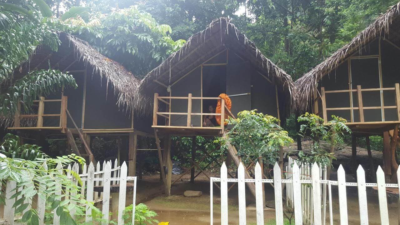 منظر قريب للخيام في مخيم Kithulgala في سريلانكا