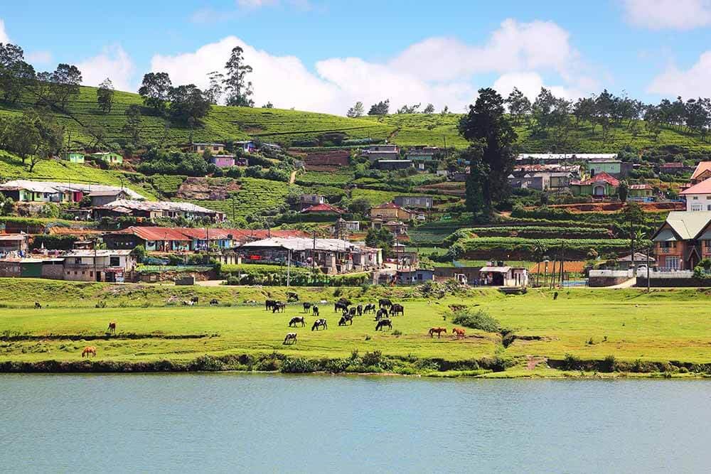 A view of Gregory Lake and Nuwara Eliya city landscaping in Sri Lanka