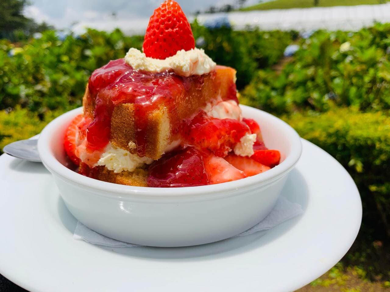 A picture of a Fresh strawberry dessert in Strawberry farm in Nuwara Eliya Sri Lanka