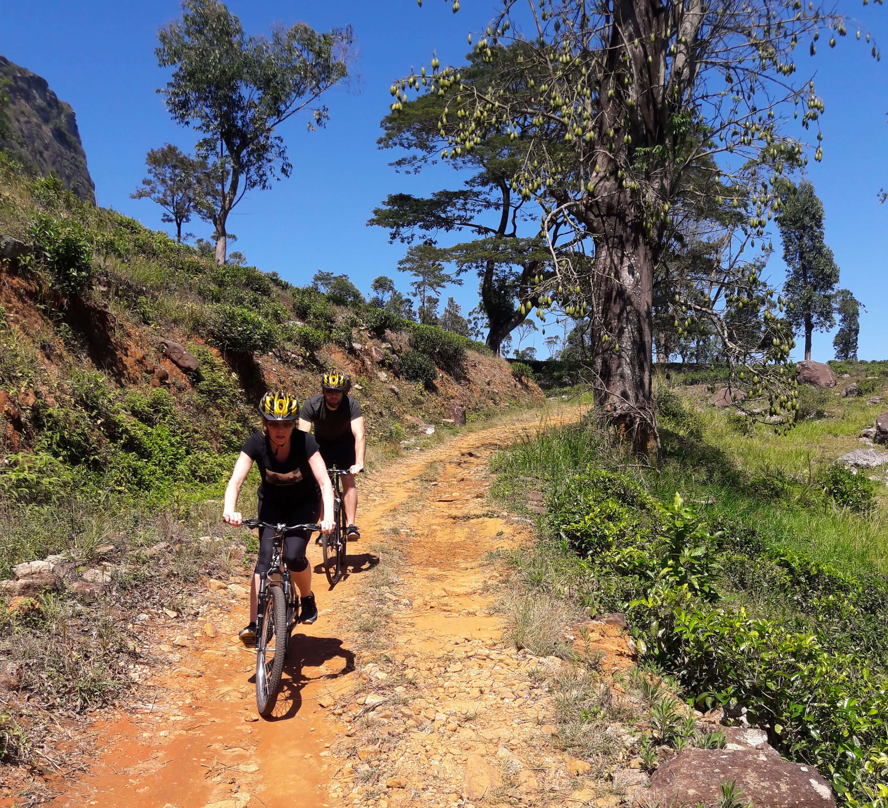 Турист получает опыт сложного и среднего уровня сложности велосипедного тура в Канди, Шри-Ланка.