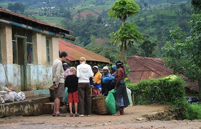 The tourists explore tea plantation and picked tea in the Ella village Sri Lanka