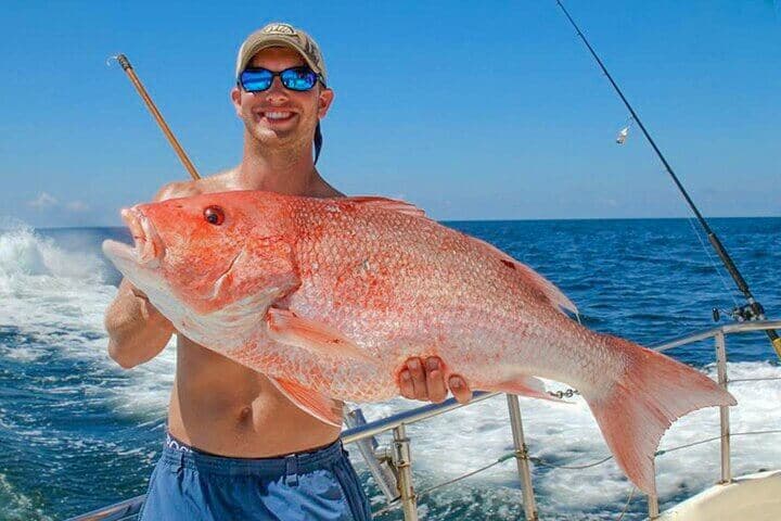 The tourist catch a huge red mullet in the Hikkaduwa deep sea