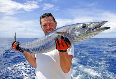 A man catch a Wahoo fish in Fishing Tour in Tangalle Sri Lanka