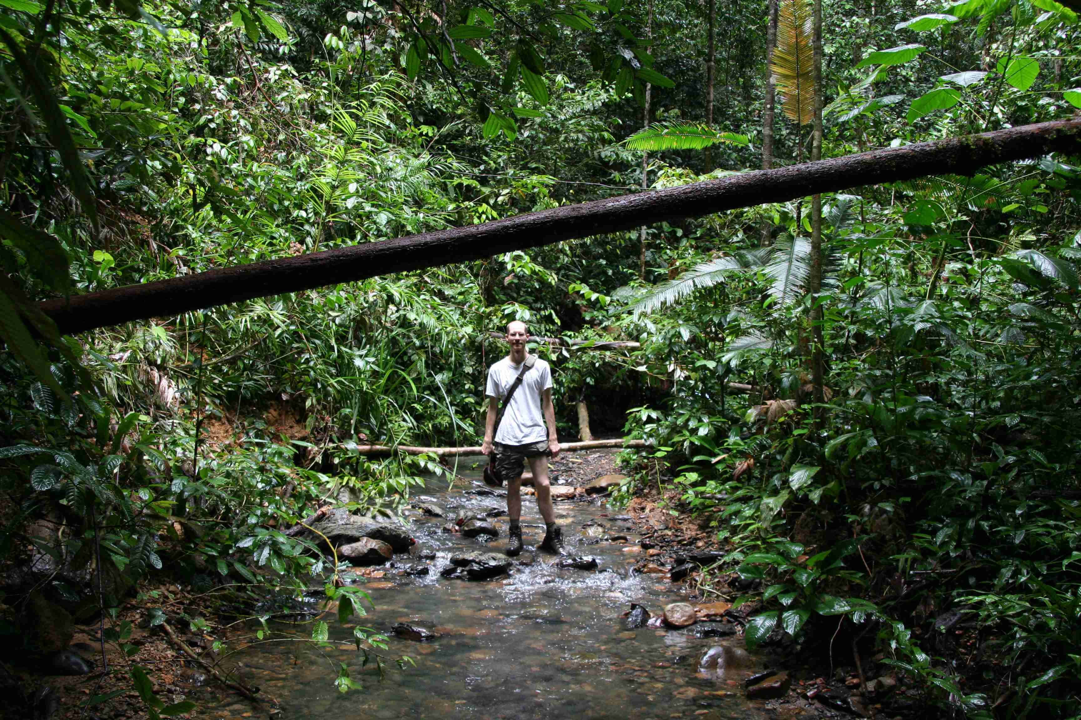 Турист гуляет по дождевому лесу Каннелия в Шри-Ланке.