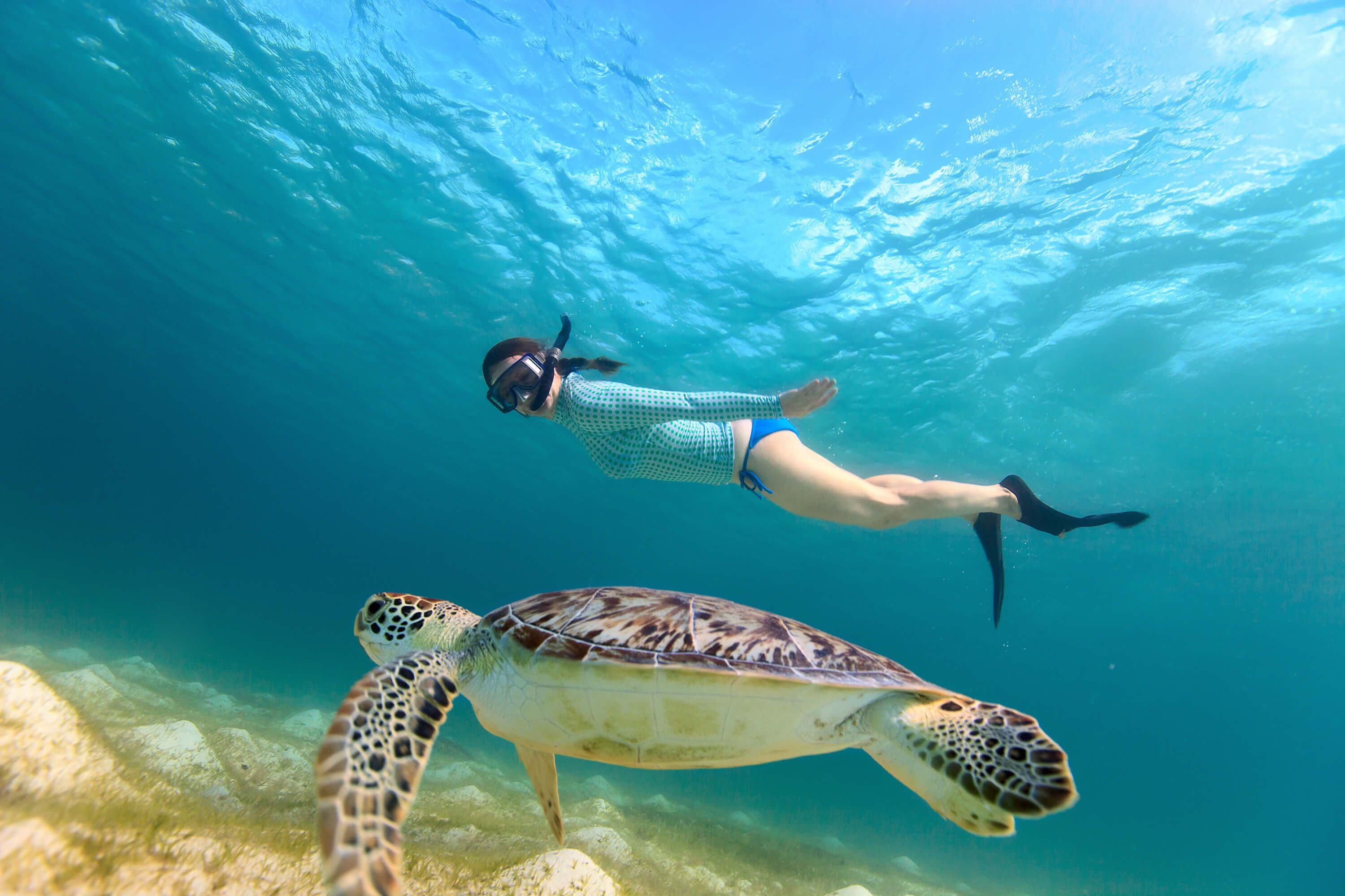 Ein Foto eines Mädchens, das mit einer Meeresschildkröte in der Tiefsee in Mirissa, Sri Lanka, taucht
