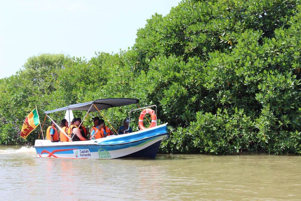 Tourists get experience nature and landscaping of the Negombo Lagoon