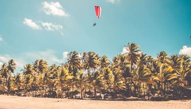 斯里兰卡本托塔阳光明媚的日子里，滑翔伞飞过海滩
