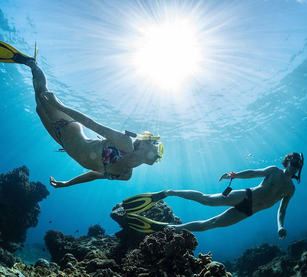 The divers dive among beautiful corals in Negombo Sri Lanka