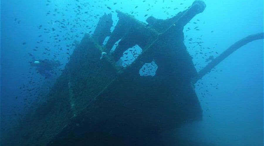 The wreck ship provided shade for a large variety of fishes and sea plants in Sri Lanka 