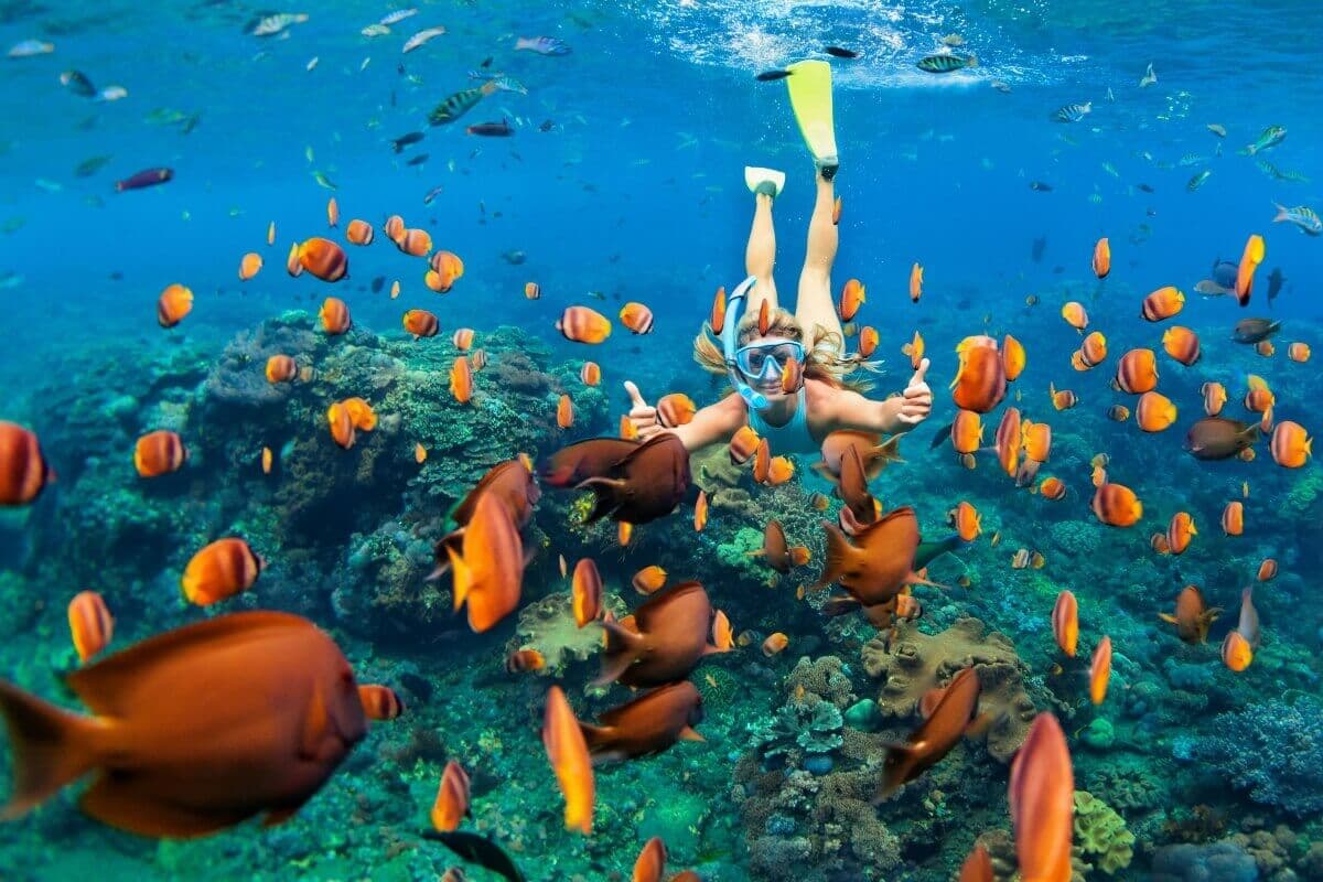 A girl dive in the Unawatuna sea through a colorful huge fish group 
