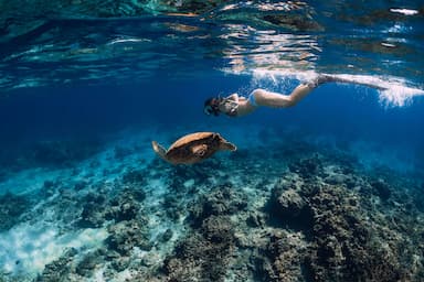 Frau mit Flossen schwimmt unter Wasser mit großer Meeresschildkröte in Galle, Sri Lanka