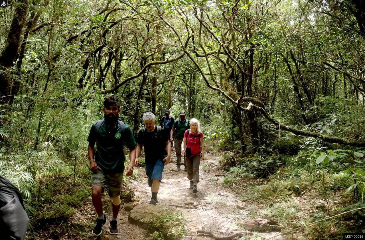 A tourist group trekking the forest with well guidance in Knuckles Sri Lanka