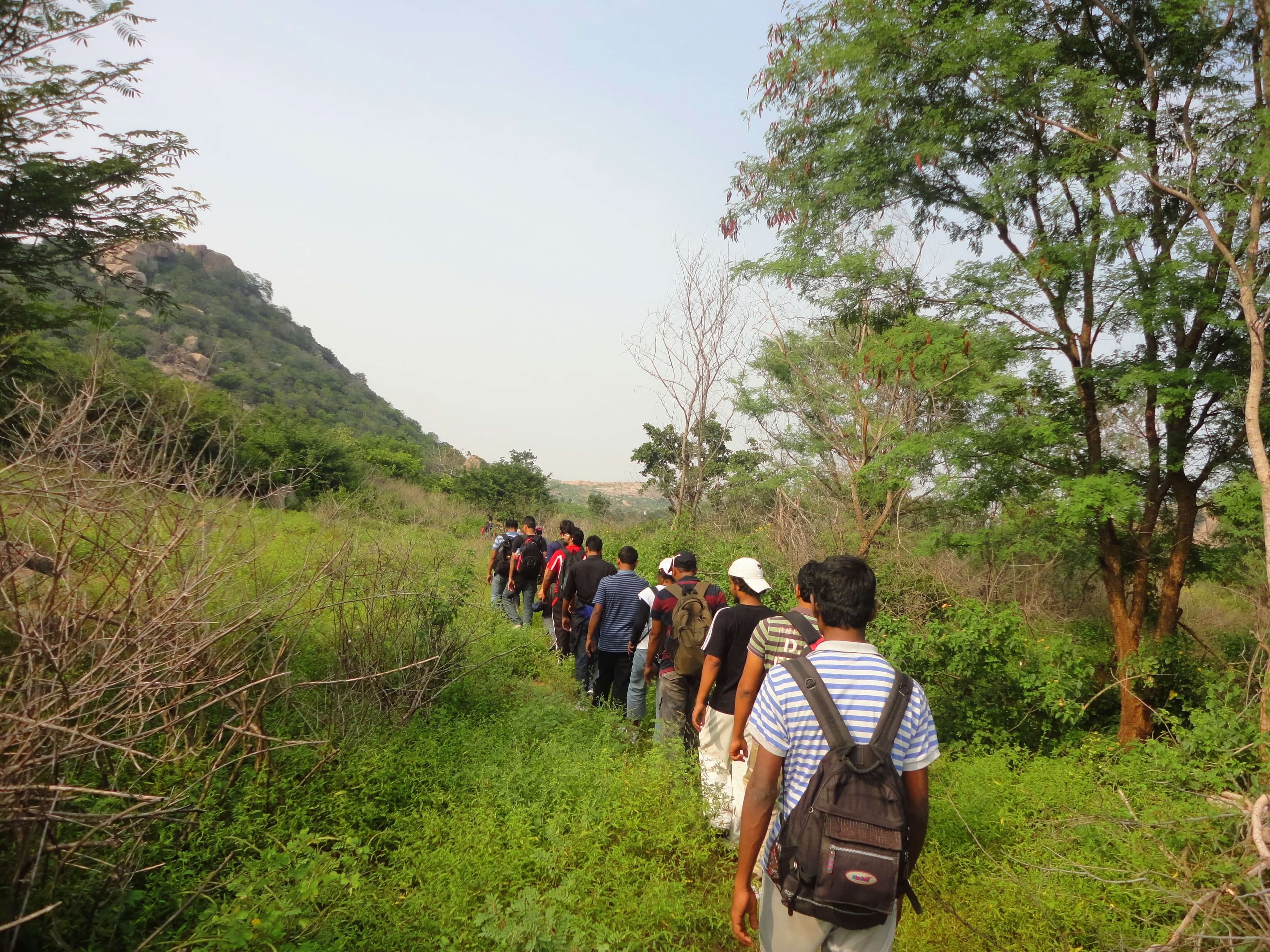 A Tourist group trekking in Udawalawa Sri Lanka