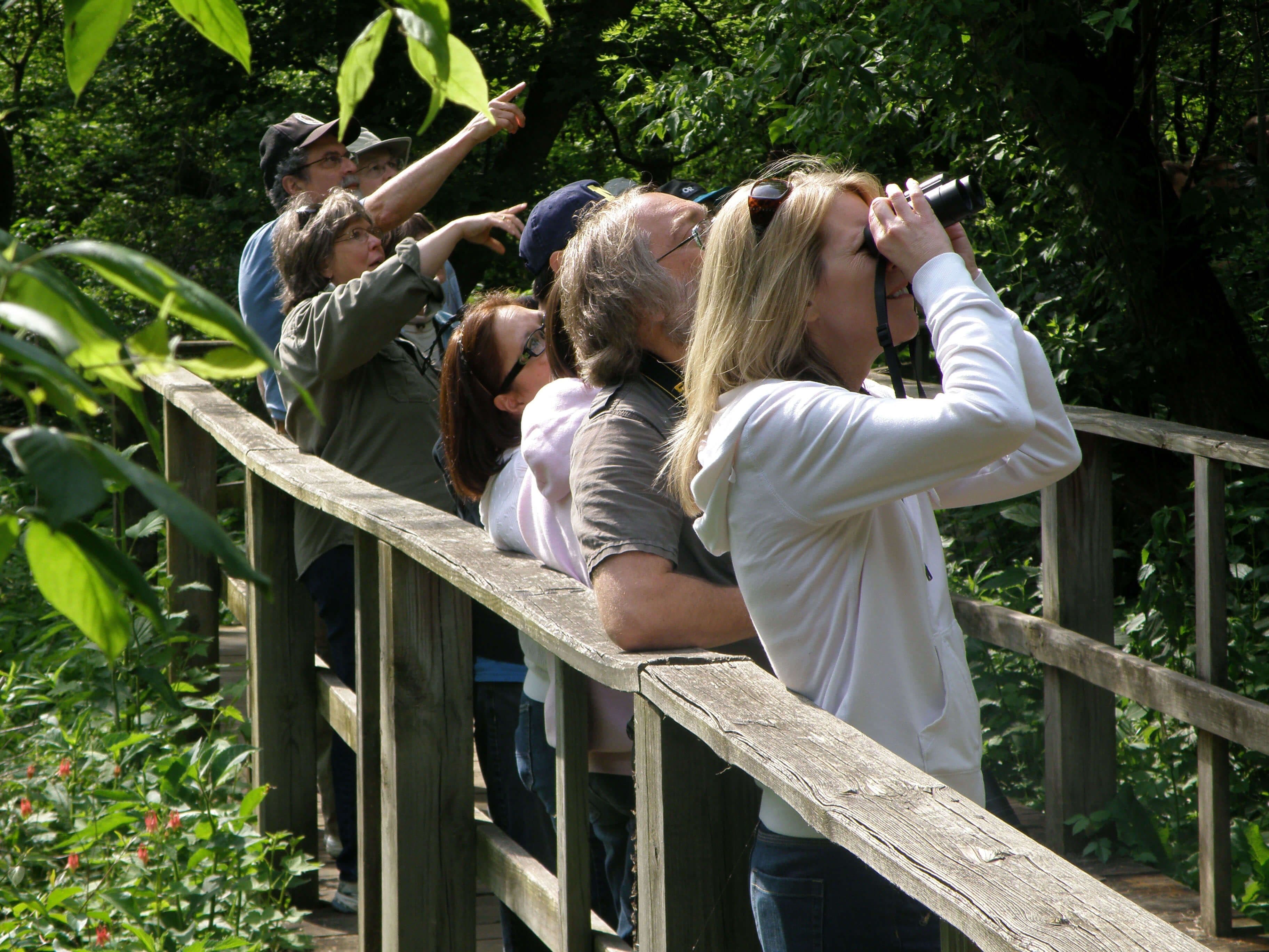 مجموعة تراقب الطيور في جولة يالا لمشاهدة الطيور في سريلانكا