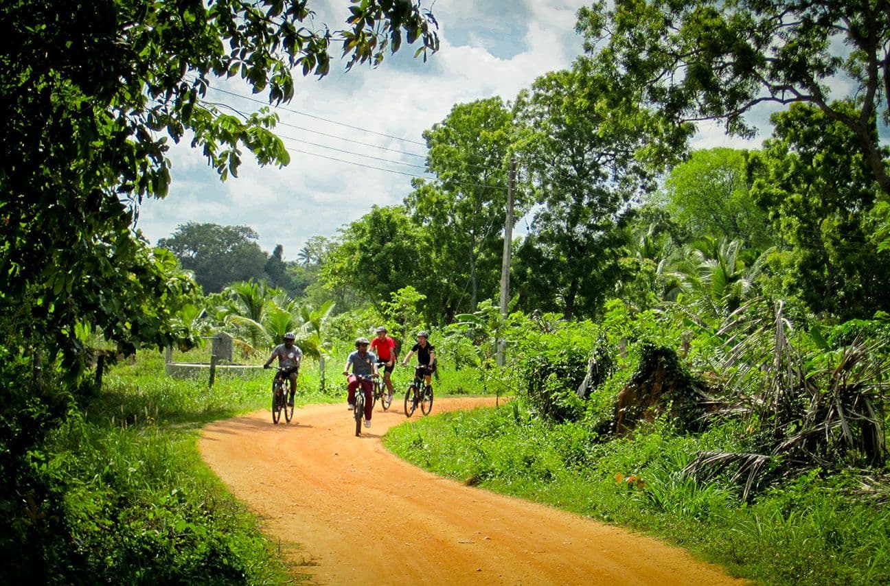 Велосипедисты едут по расслабляющей велосипедной дорожке на равнине в Шри-Ланке.
