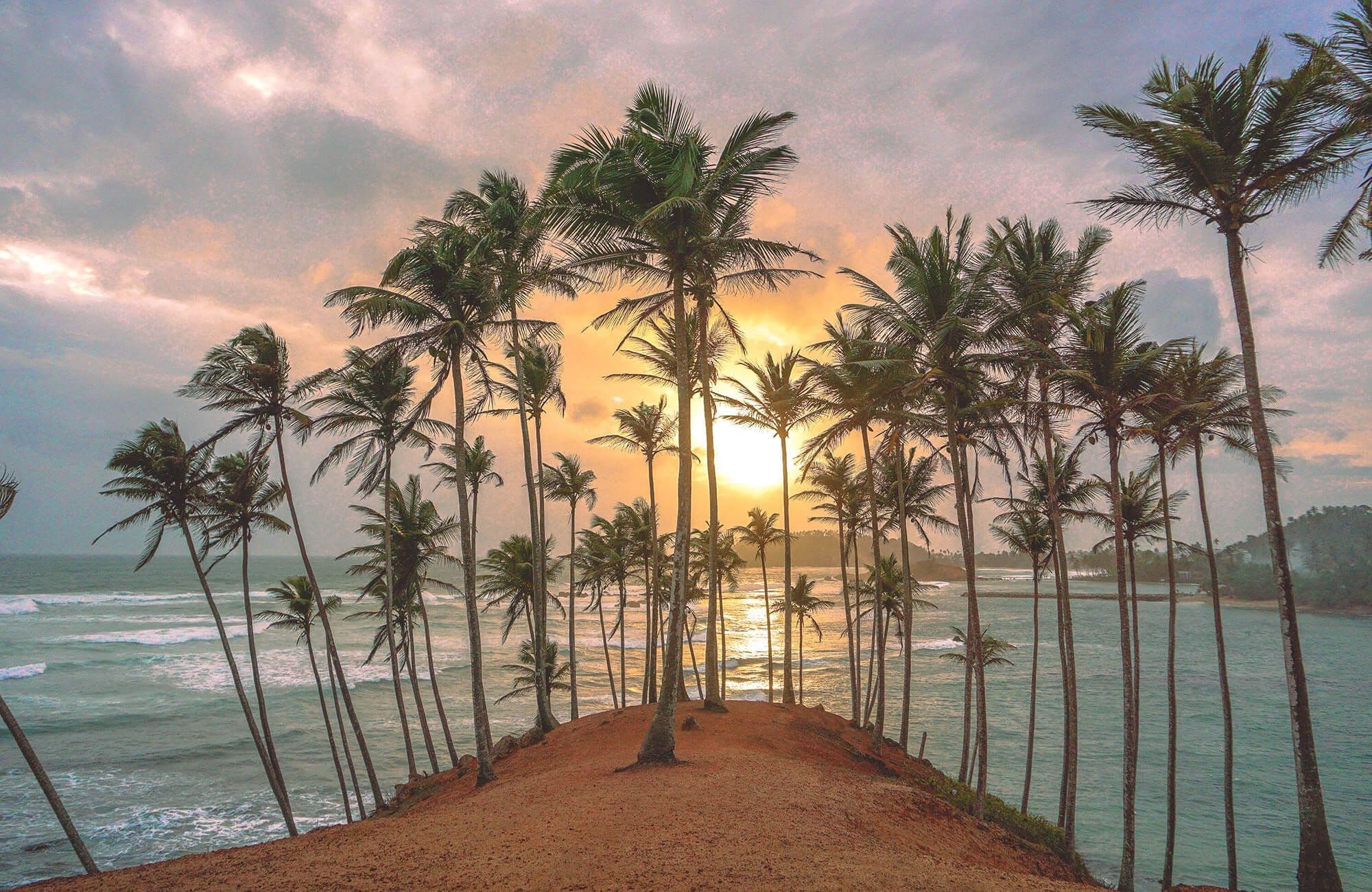 斯里兰卡著名的美蕊沙椰子树海滩