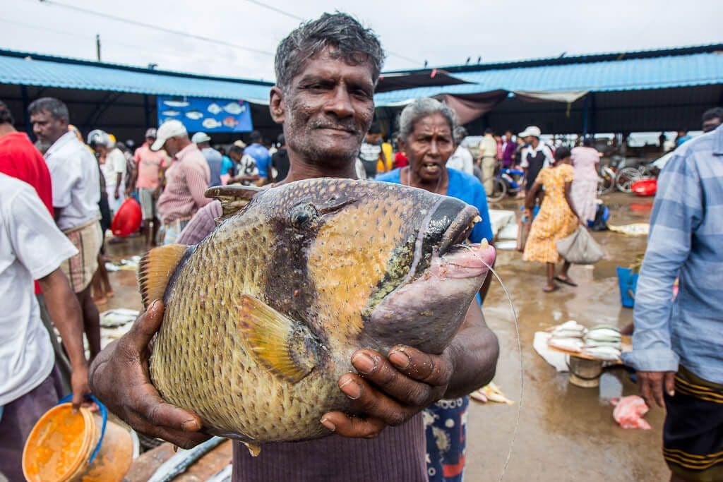A fisherman showing the fish at the Negombo Fish Market, Sri Lanka.