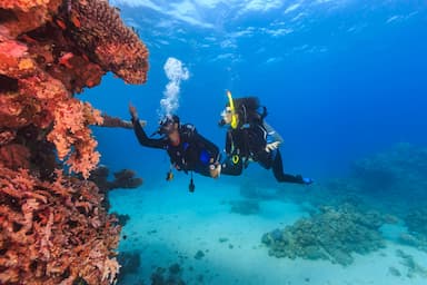 Two adult persons diving in first time on tropical coral reef in Sri Lanka.