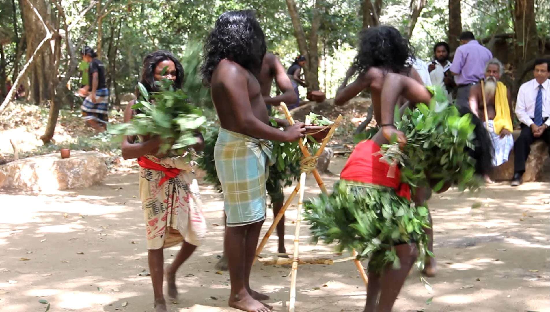 Evento de danza nativa Vedda en Sri Lanka.