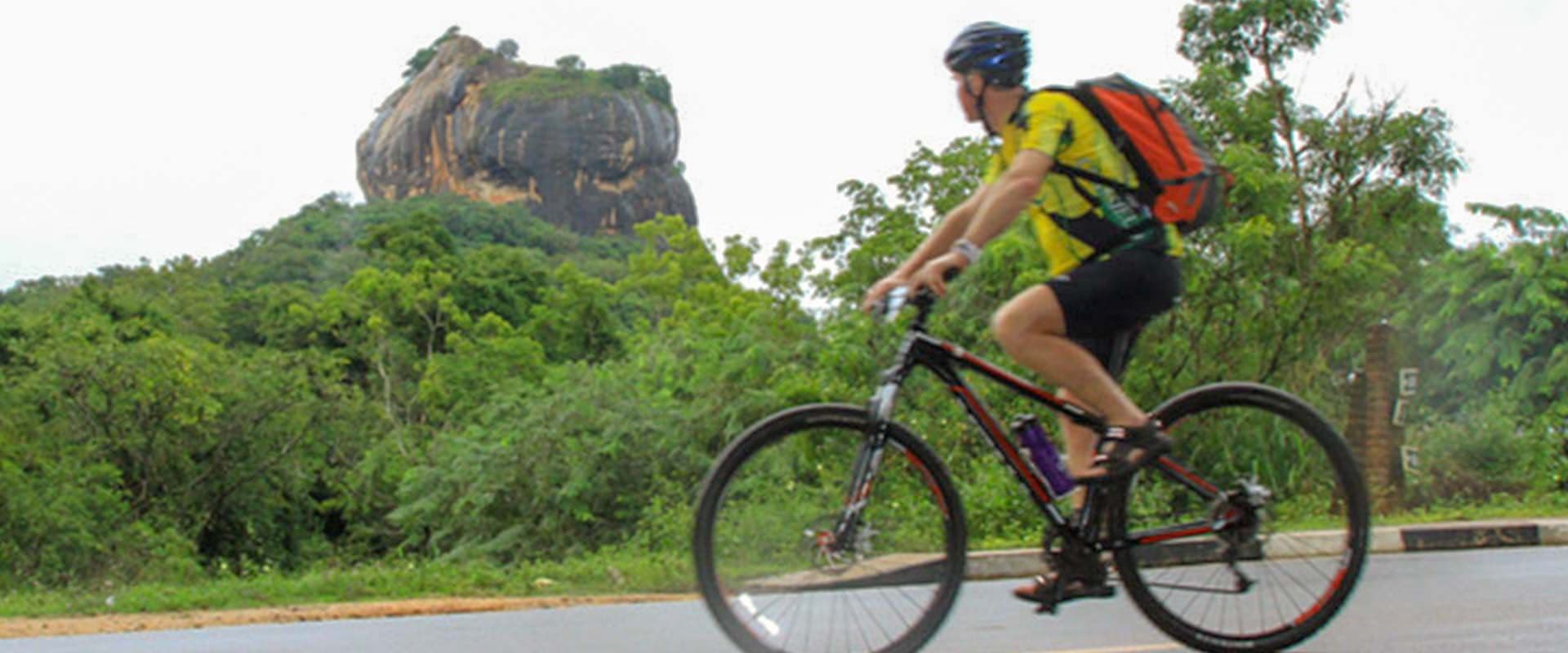 Cyclist Watching Anuradhapura Ruin City Nature